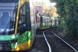 Trasa tramwajowa na Naramowice nie będzie budowana za unijne pieniądze? Poznań poszuka środków dopiero za trzy lata. "Żmudna praca przed nam