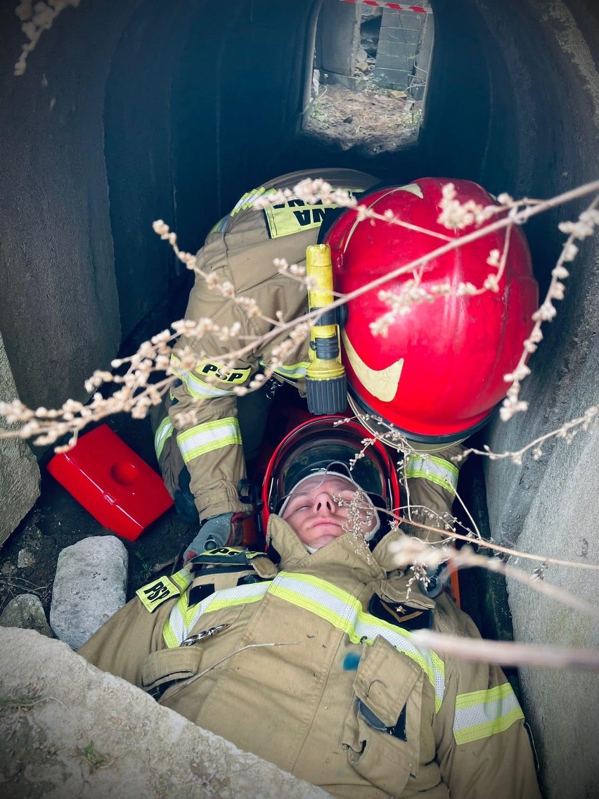 Szkolenie poszukiwawczo-ratownicze strażaków w ośrodku w Łapach