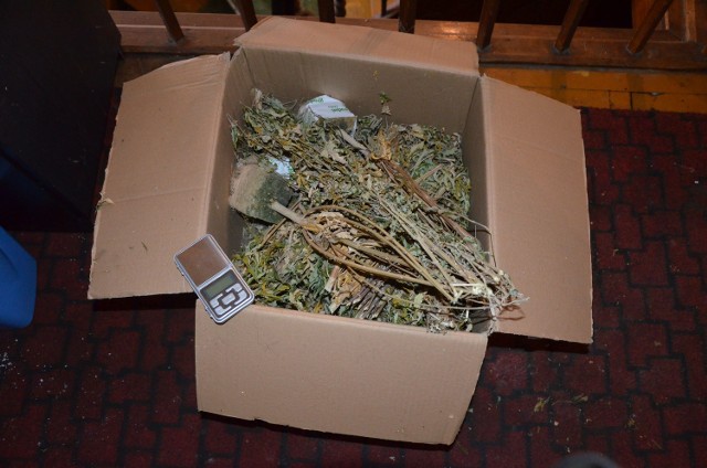 Policjanci znaleźli w domku jednorodzinnym 2,6 kg marihuany