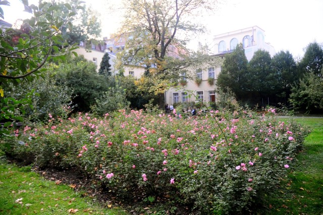 Ogród i dom Józefa Mehoffera przy ul. Krupniczej 26 w Krakowie