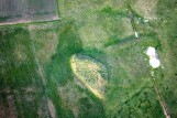 Niezwykłe odkrycie pod Inowrocławiem. Mamy kujawski Stonehenge?