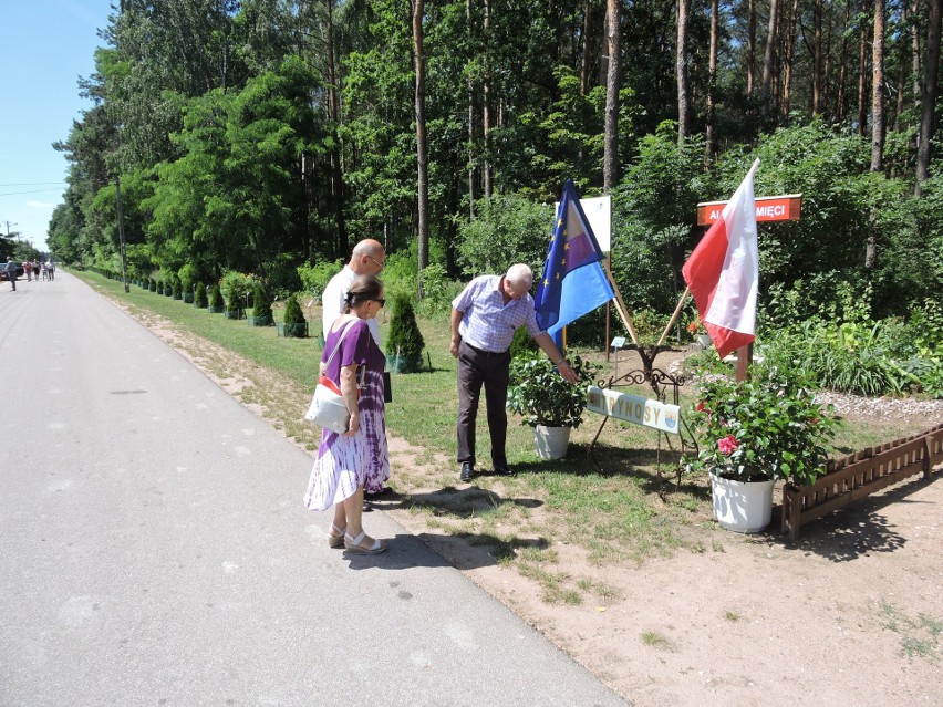 Trynosy. Mieszkańcy znów zaskoczyli. Aleja przy lesie...