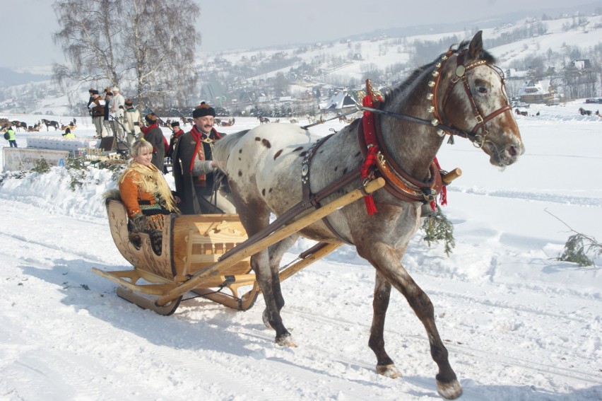 Kumoterki Zakopane 2018