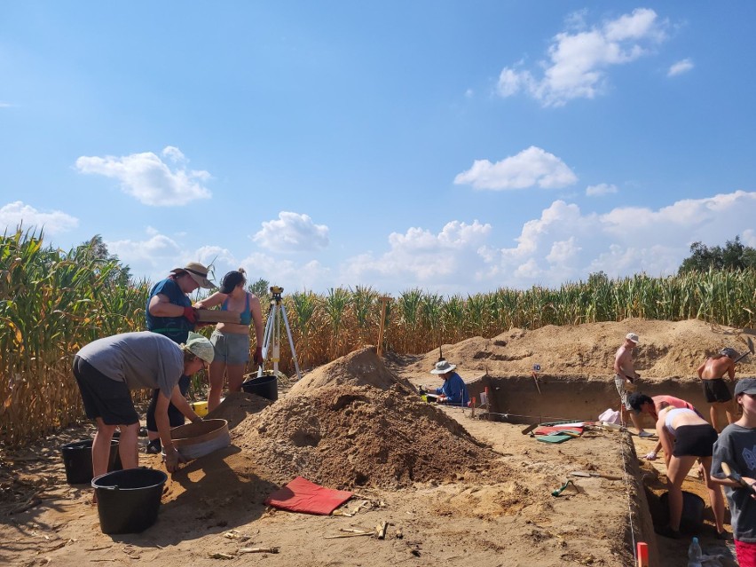 Dr Jadwiga Lewandowska z Muzeum Ziemi Dobrzyńskiej o badaniach archeologicznych w powiecie rypińskim [rozmowa]