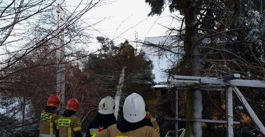 W Kunicach drzewo przewróciło się na dom. Na szczęście nie...