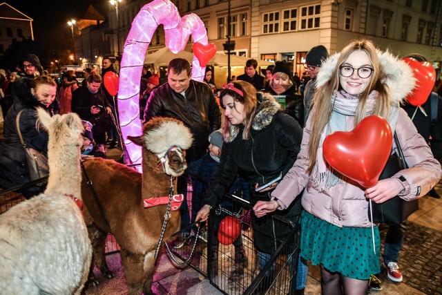 Piknik rodzinny, koncerty i wiele niespodzianek – tak wyglądał program wczorajszej (14.02. br.) imprezy pod nazwą „Zakochaj się”, która odbyła się w walentynki na Starym Rynku w Bydgoszczy. Organizatorami wydarzenia były Uniwersytet Technologiczno-Przyrodniczy w Bydgoszczy i Departament Zdrowia Urzędu Marszałkowskiego. Wydarzenie łączyło w sobie trzy wątki: zdrowotny, naukowy i kulturowy. UTP wraz z Urzędem Marszałkowskim, wykorzystując popularność walentynek – święta czerwonego serca – promowało profilaktykę zdrowotną, zwłaszcza jeśli chodzi o najważniejszy organ ludzkiego ciała. W imprezie udział wzięło wielu bydgoszczan.Więcej zdjęć >>>