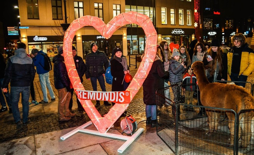 Piknik rodzinny, koncerty i wiele niespodzianek – tak...