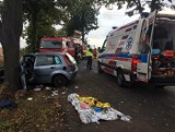 Pleszew: Wypadek w Dobrzycy. Samochód uderzył w przydrożne drzewo. Jedna osoba została ranna. Śmigłowiec zabrał ją do szpitala