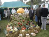 Dożynki Wojewódzkie Suraż 2010. Rolnicy dziękowali za zbiory. (zdjęcia)