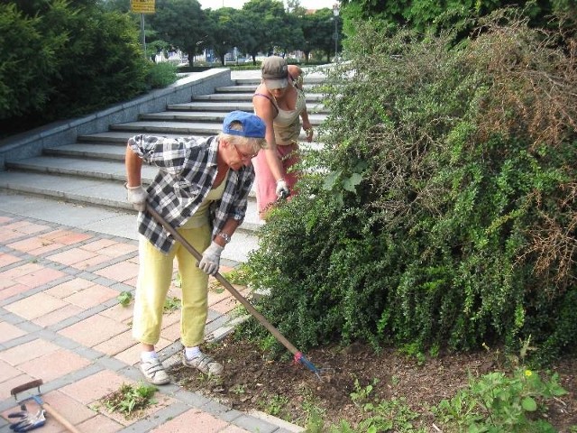 Teresa Moszońska i Barbara Sularz na co dzień zajmują się porządkowaniem terenów zielonych mieście 