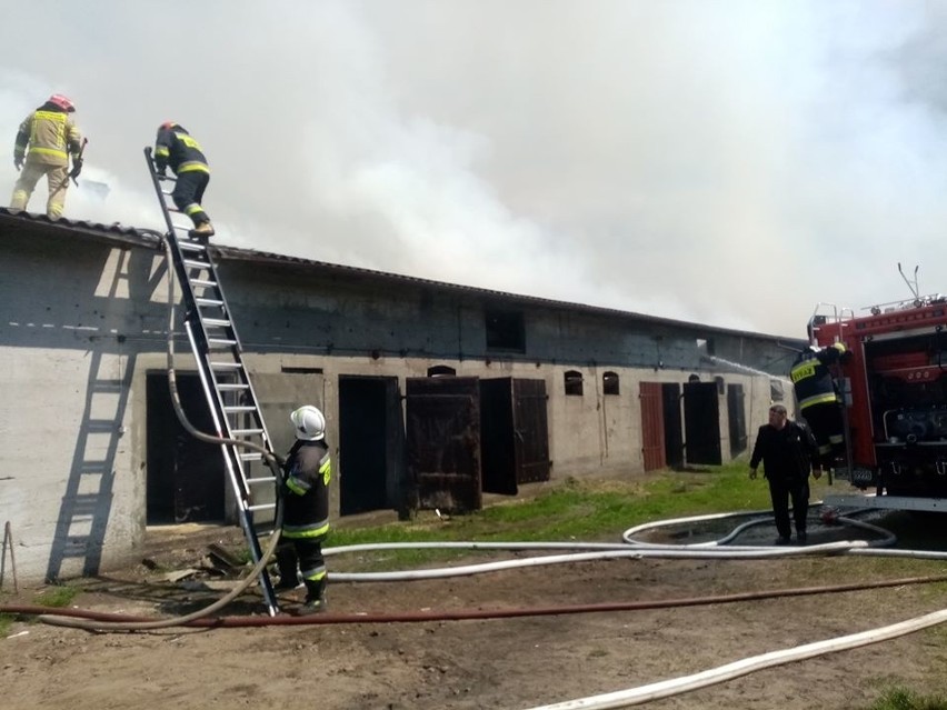 Pożar w Klukowie gm. Małkinia Górna. Spłonęły budynki gospodarcze, duże straty. 4.06.2020. Zdjęcia