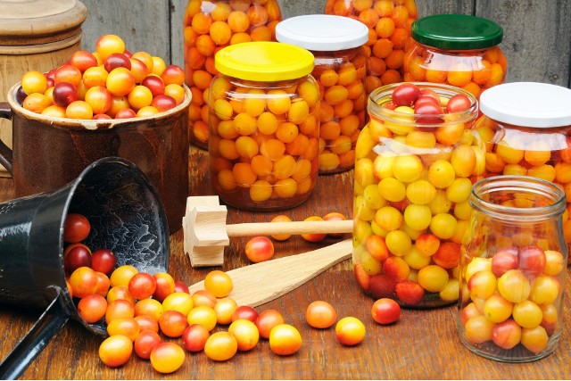 Domowy kompot ze śliwek można przygotować z różnych odmian owoców, np.: z mirabelek albo renklod, jednej z ich odmiany.