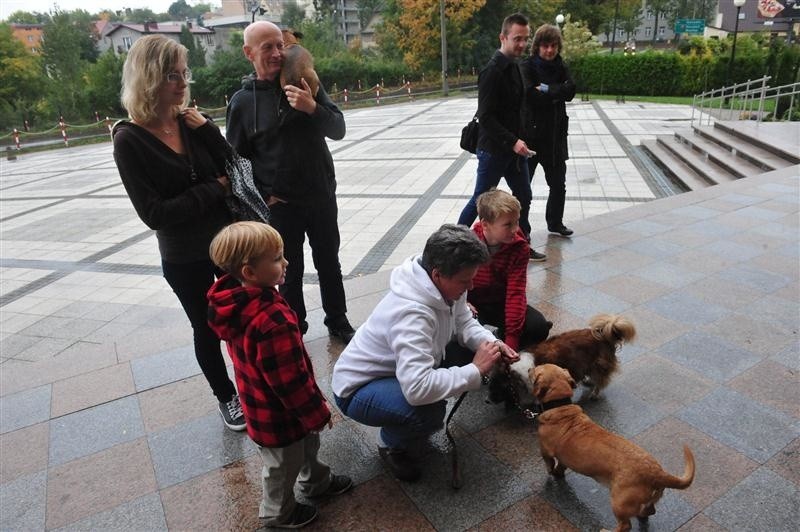 Mimo padającego przez cały dzień deszczu uczestniczyło w...