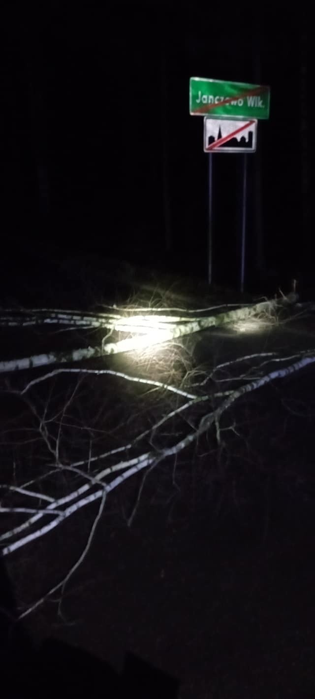 Wichura w powiecie ostrowskim (19-21.02.2022). Powalone drzewa, uszkodzone budynki, zerwane linie energetyczne. Zdjęcia