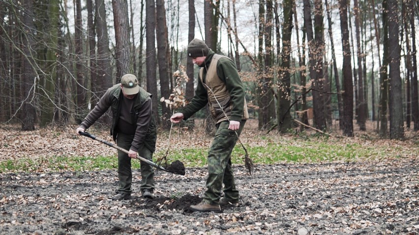 Na terenie brzeskiego nadleśnictwa pojawi się niebawem 224...