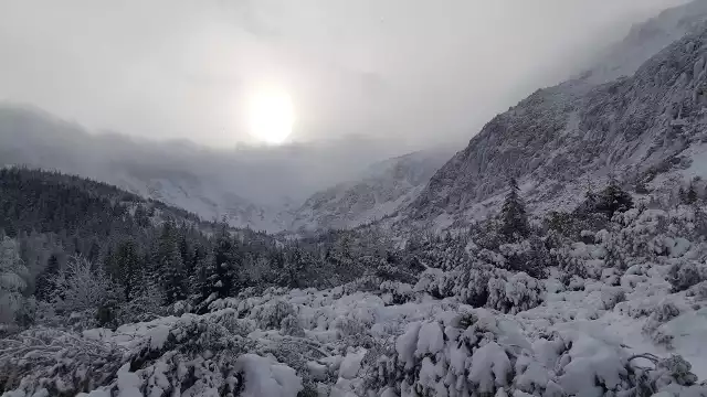 Karkonosze zimą - Schronisko Samotnia, Kościółek Wang, Szrenica, Schronisko na Hali Szrenickiej, w drodze na Śnieżkę.
