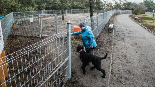 Decyzją mieszkańców Kapuścisk wybieg dla psów przy ul. Przodowników Pracy zyska  oświetlenie.