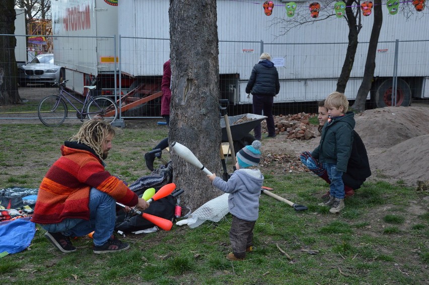 Budują wierzbową kopułę na placu Społecznym (ZDJĘCIA)