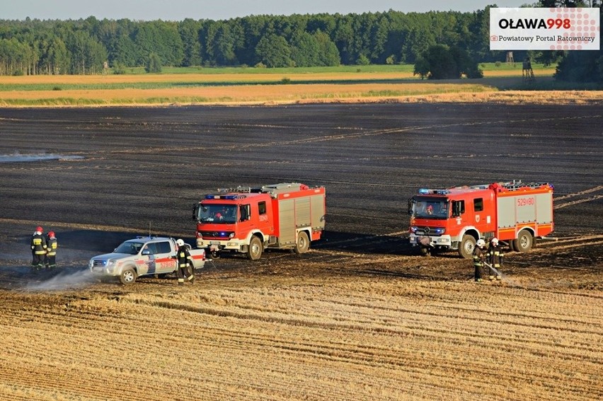 Potężne pożary zbóż na polach pod Wrocławiem 