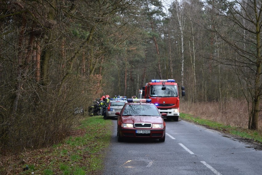 Tragiczny wypadek w Bieruniu: Zginęła 37-latka. Uderzyła w drzewo [ZDJĘCIA]