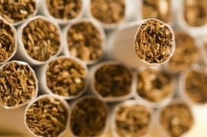 Plantatorzy tytoniu domagają się od polskiego rządu...