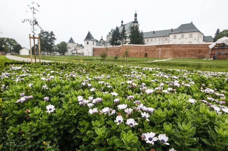 Nowe ogrody przy Bazylice w Leżajsku.
