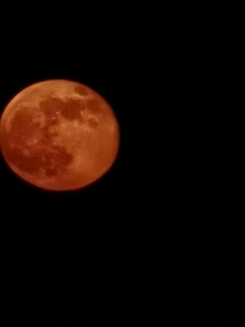Widoczność była doskonała, Księżyc zaprezentował się w pełnej krasie.