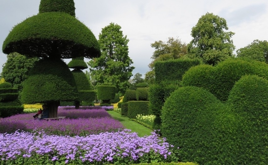 Topiary: formowane krzewy w ogrodzie. Jak to się robi