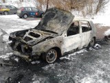 Seria podpaleń samochodów w Rudzie Śląskiej. 13 aut spalonych [video]