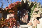 Kolorowy ogród  różańcowy przy kościele bł. Karoliny w Tychach późną jesienią. Zobaczcie zdjęcia 