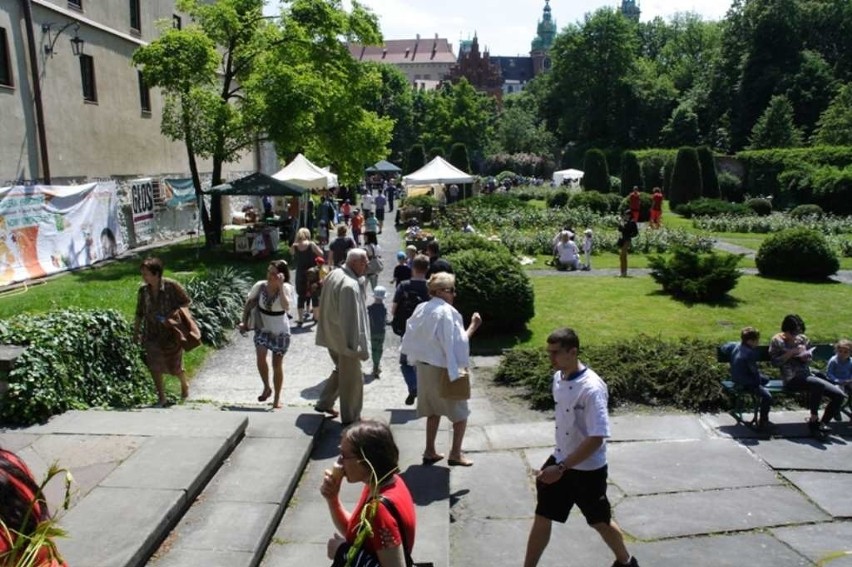 Kraków: Piknik Archeologiczny. Na pradziejowych ścieżkach [ZDJĘCIA]