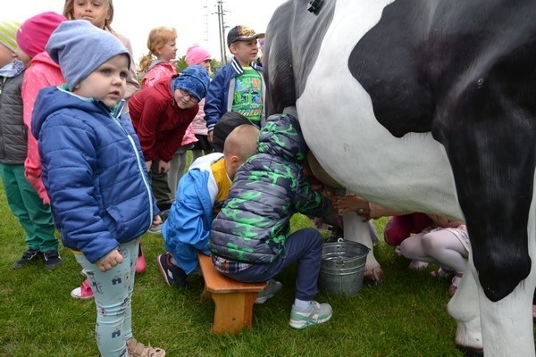 Gmina Pawłów. Dzieci w Jadownikach doją sztuczną krowę, ale piją zdrowe mleko