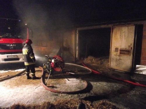 Pożar w Kurowie: W kurniku zginęło 7,5 tysiąca pisklaków