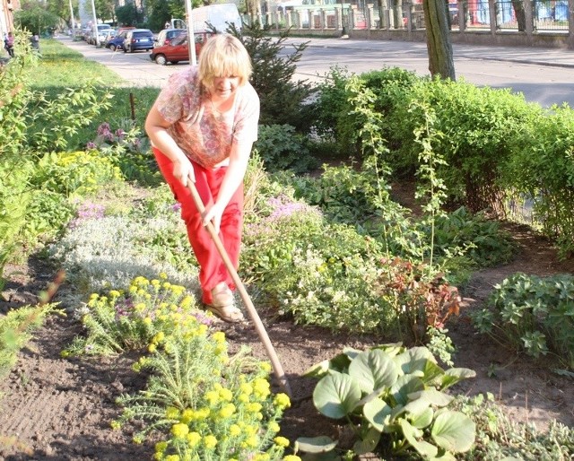 Mieszkańcy ul. Chopina sami dbają o przydomowe ogródki.