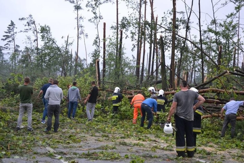 Tragedia w Suszku na Pomorzu. Zginęli harcerze z Łódzkiego