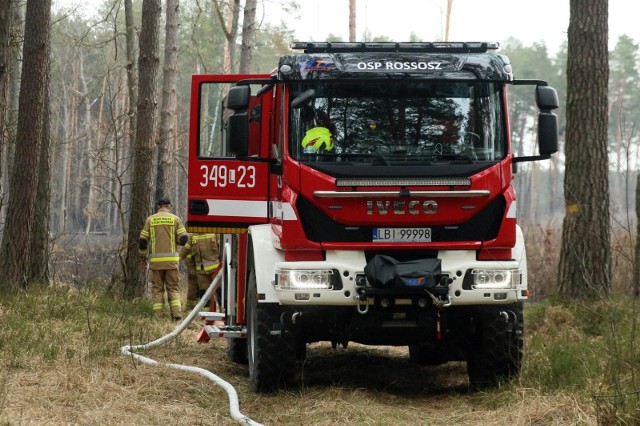 "Na miejscu z ogniem walczy około 12-13 zastępów" - relacjonuje dyżurny wielkopolskich strażaków.