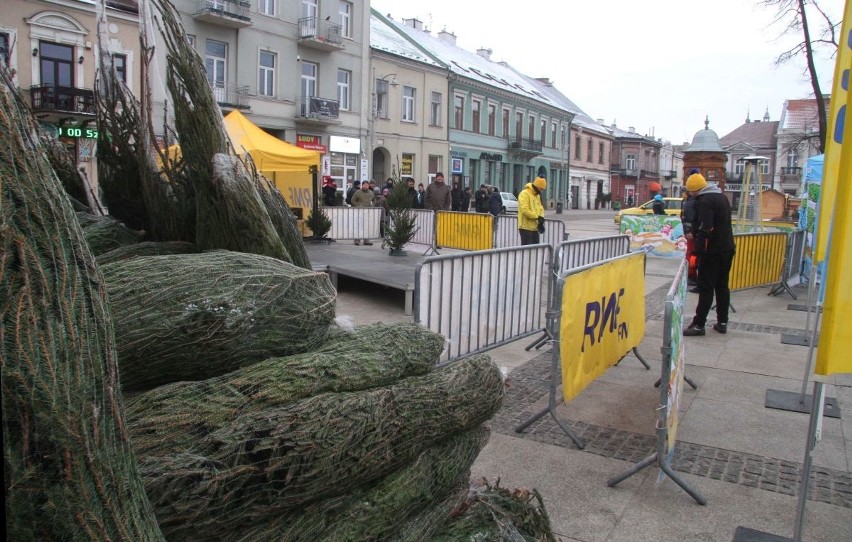 Choinki pod choinkę od RMF FM w Kielcach w czwartek. Tłum odbierał drzewka na Rynku! 