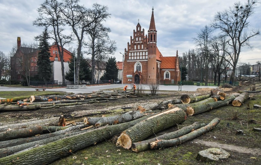 Trwa wycinka drzew przy ulicy Toruńskiej, obok ronda...