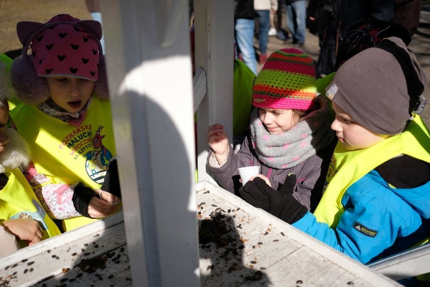 Park Wilsona: Zamontowano siedem budek dla wróbli oraz...