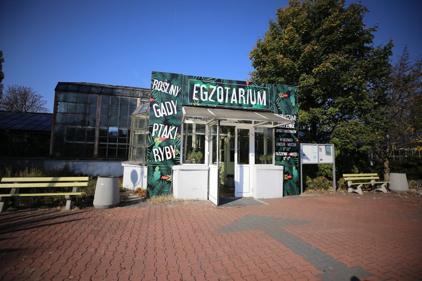 Tak wygląda obecnie sosnowieckie Egzotarium.