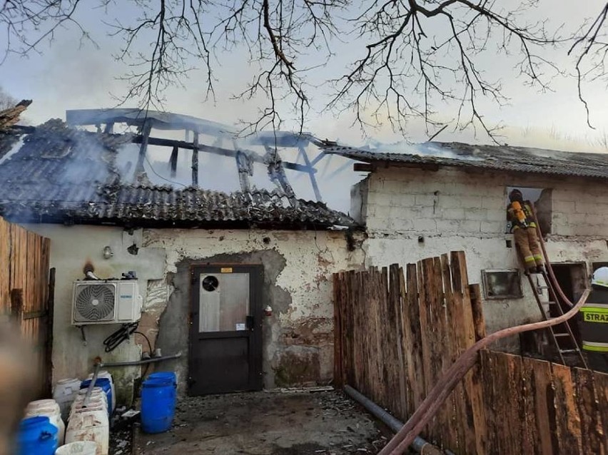 Pożar w Przytarni w gminie Karsin 9.04.2021 r. W stodole było 40 kóz. Na szczęście udało się je uratować
