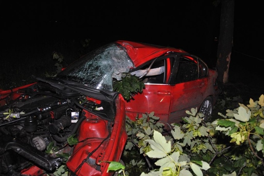 Kierowca BMW wpadł w poślizg w kałuży i rozbił samochód na drzewie [ZDJĘCIA]