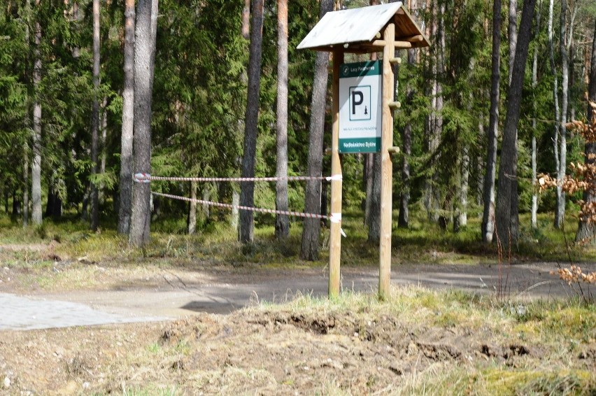 Zakaz wstępu do lasu budzi wiele kontrowersji. Leśnicy: byliśmy przeciw (zdjęcia)