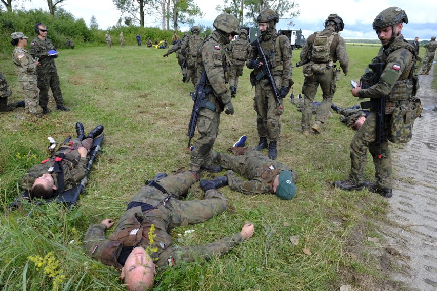 Wspólne ćwiczenia Wojsk Obrony Terytorialnej i Gwardii...