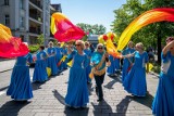 Skrzaty, trole, muminki, włóczykije oraz Pippi przeszli ulicami Szczecina [ZDJĘCIA]