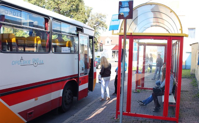 linia autobusowa ma połączyć Krapkowice z Gogolinem.