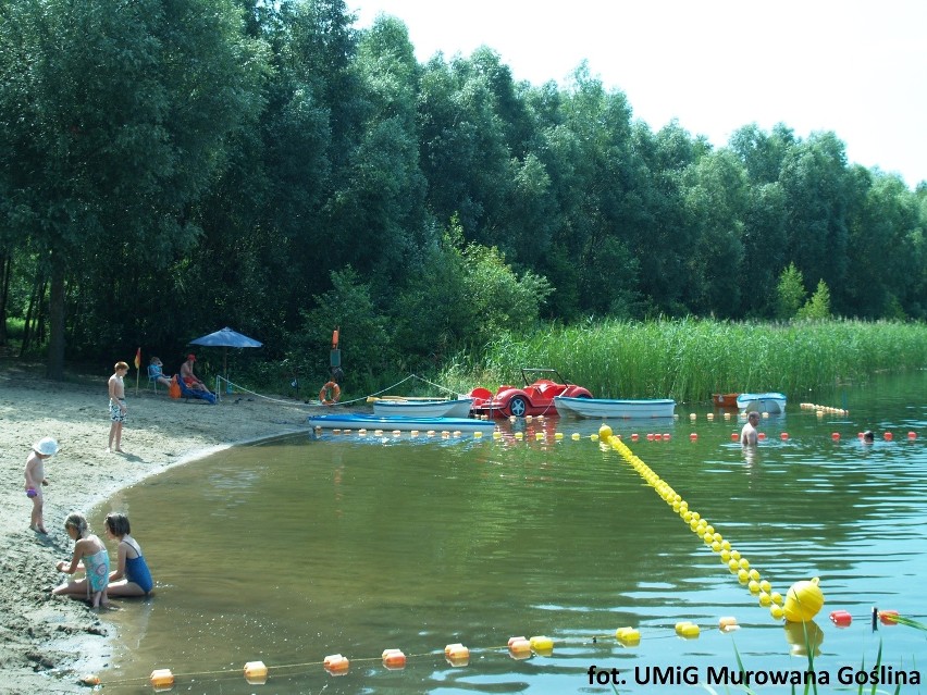 Jezioro Kamińskie znajduje się w gminie Murowana Goślina....