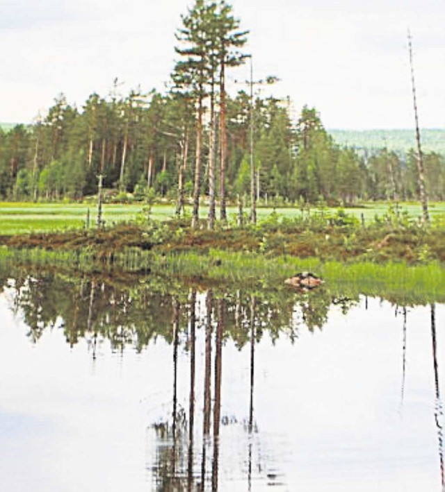 Zdjęcie jeziora w Norwegii
