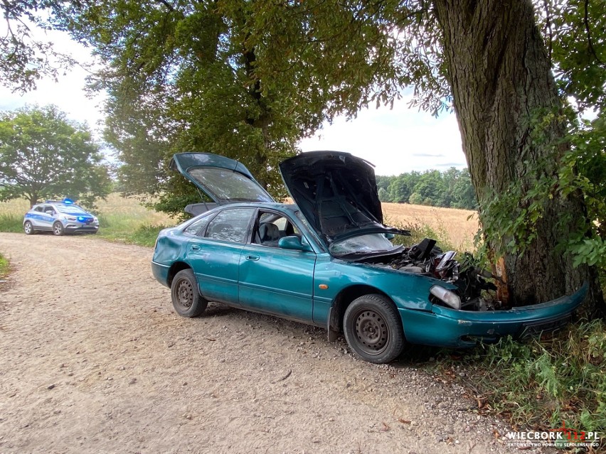 Na trasie Komierówko-Sępólno mazda uderzyła w drzewo....