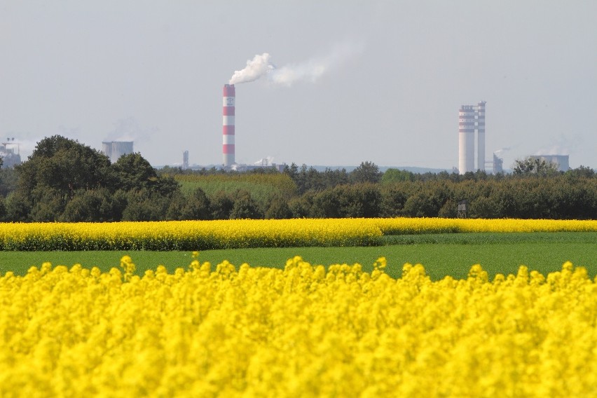 Rowerem przez Lubelskie. Trasa: Puławy - Gołąb